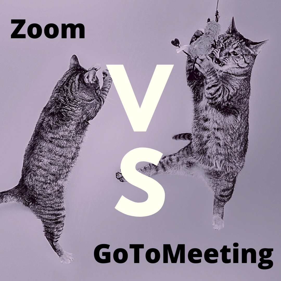 Gotomeeting vs zoom